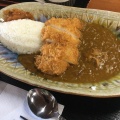 ロースカツカレー - 実際訪問したユーザーが直接撮影して投稿した城内坂カレーカレーキッチンYAMANIの写真のメニュー情報