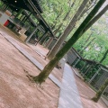 実際訪問したユーザーが直接撮影して投稿した清水アスレチック清水公園の写真