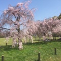 実際訪問したユーザーが直接撮影して投稿した百舌鳥夕雲町公園大仙公園の写真