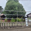 実際訪問したユーザーが直接撮影して投稿した宇治神社縣神社の写真