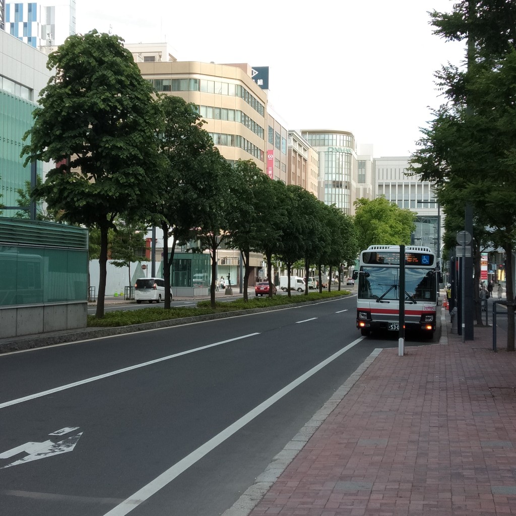 36522さんが投稿した通りのお店札幌駅前通/サッポロエキマエドオリの写真