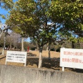 実際訪問したユーザーが直接撮影して投稿した安城町公園昭林公園の写真