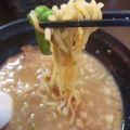 実際訪問したユーザーが直接撮影して投稿した晴見町ラーメン / つけ麺やすのたまぞうの写真