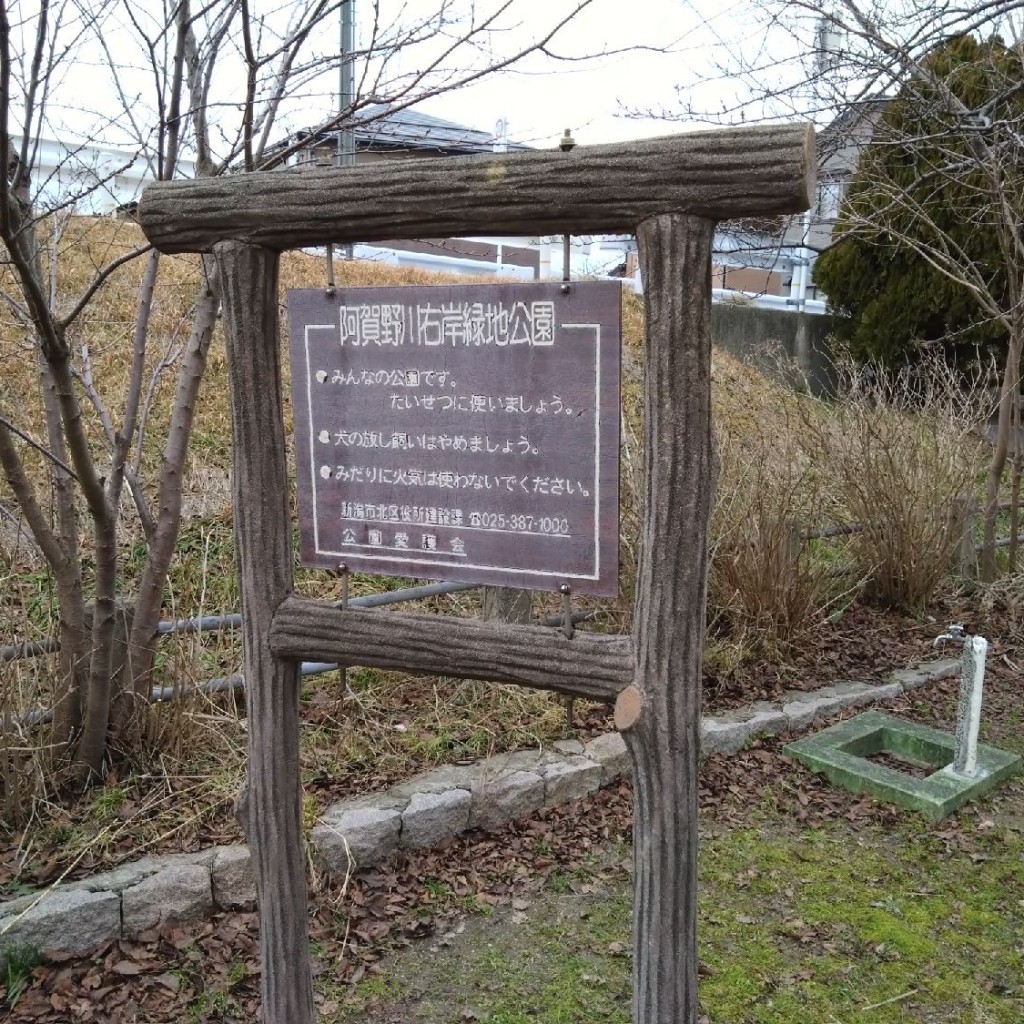 実際訪問したユーザーが直接撮影して投稿した新元島町公園阿賀野川右岸緑地公園の写真