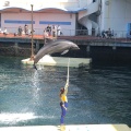 実際訪問したユーザーが直接撮影して投稿した内浦長浜水族館 / アクアリウム伊豆・三津シーパラダイスの写真