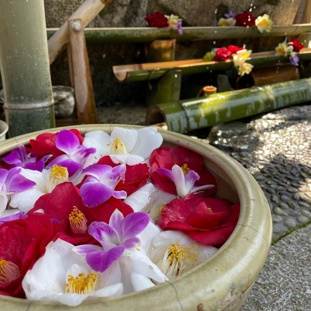 実際訪問したユーザーが直接撮影して投稿した斎宮神社竹神社の写真