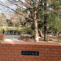 実際訪問したユーザーが直接撮影して投稿した清水公園杉並区立妙正寺公園の写真