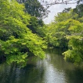 実際訪問したユーザーが直接撮影して投稿した湯布院町川上スイーツあうんの写真