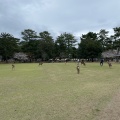 実際訪問したユーザーが直接撮影して投稿した登大路町公園奈良公園 登大路園地の写真