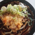 ごぼう天うどん - 実際訪問したユーザーが直接撮影して投稿した南そば立喰いそば よりみちの写真のメニュー情報