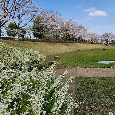 実際訪問したユーザーが直接撮影して投稿した烏ケ森公園烏ケ森公園の写真