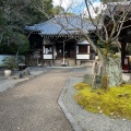 実際訪問したユーザーが直接撮影して投稿した泉涌寺山内町寺泉涌寺 楊貴妃観音堂の写真