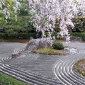 実際訪問したユーザーが直接撮影して投稿した花園妙心寺町寺退蔵院の写真