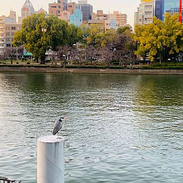 実際訪問したユーザーが直接撮影して投稿した天満公園南天満公園の写真