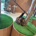 ドリンクバー - 実際訪問したユーザーが直接撮影して投稿した井口明神テーマカフェMoff animal cafe アルパーク店の写真のメニュー情報