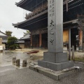 実際訪問したユーザーが直接撮影して投稿した元浜町寺大通寺の写真