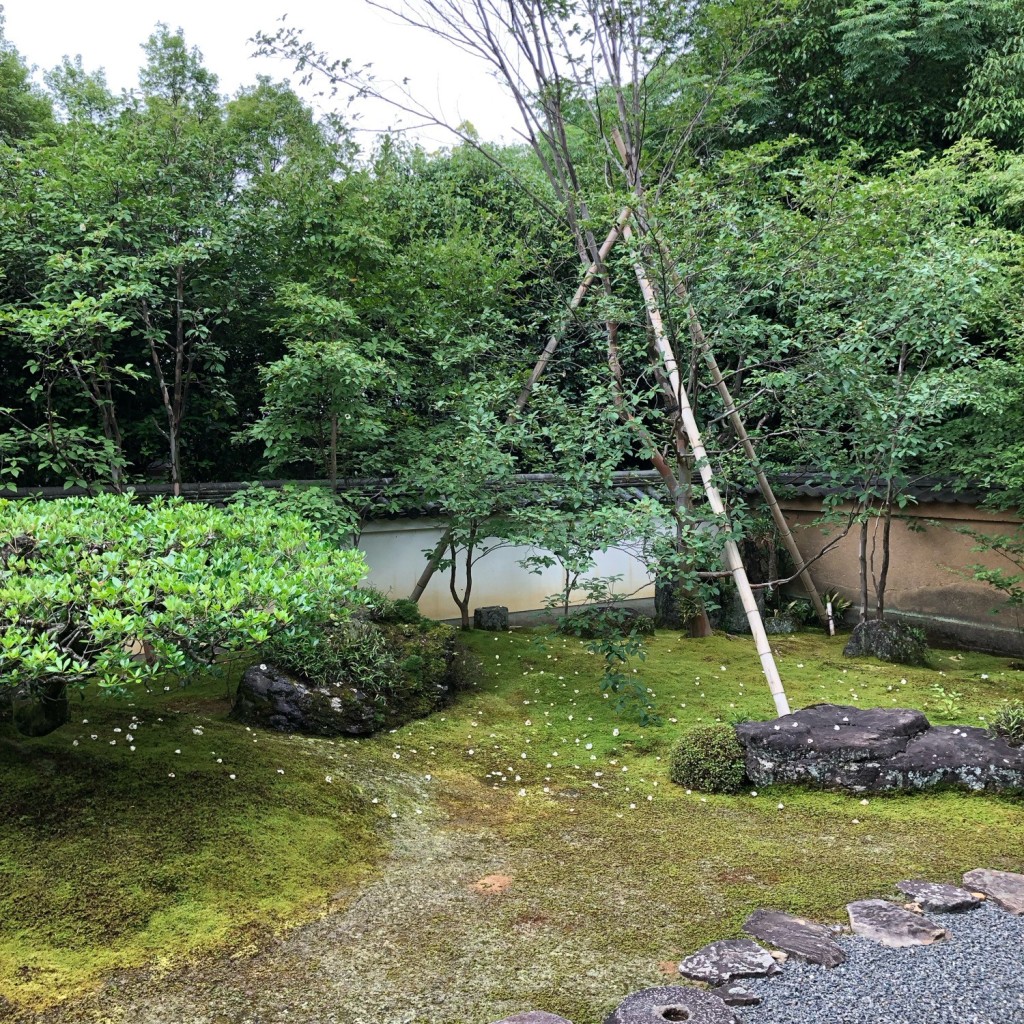 実際訪問したユーザーが直接撮影して投稿した花園妙心寺町日本茶専門店東林院の写真