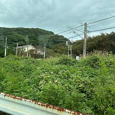 実際訪問したユーザーが直接撮影して投稿した二丈福井ケーキ菓子とパン 大楠の写真