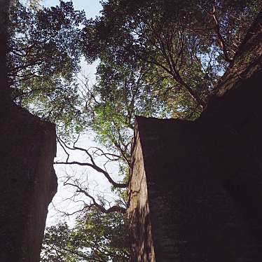 実際訪問したユーザーが直接撮影して投稿した元名寺鋸山 日本寺の写真