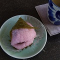 桜餅 - 実際訪問したユーザーが直接撮影して投稿した宮の森一条和菓子やきもち庵の写真のメニュー情報