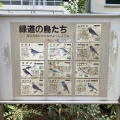 実際訪問したユーザーが直接撮影して投稿した東陽公園洲崎川緑道公園の写真