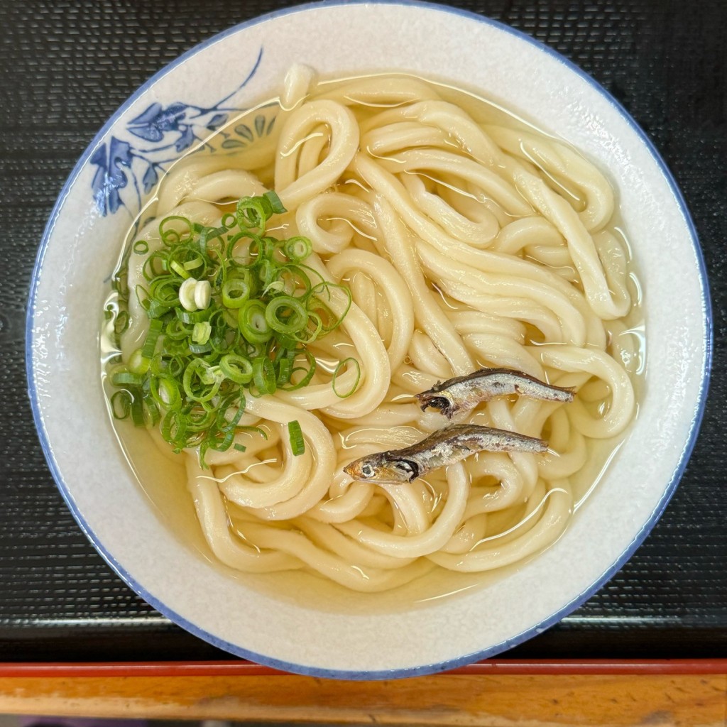 ユーザーが投稿したかけの写真 - 実際訪問したユーザーが直接撮影して投稿した太田下町うどん手打麺や 大島の写真