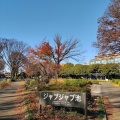 実際訪問したユーザーが直接撮影して投稿した駒沢公園駒沢オリンピック公園 ジャブジャブ池の写真