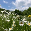 実際訪問したユーザーが直接撮影して投稿した発地植物園 / 樹木園軽井沢レイクガーデンの写真