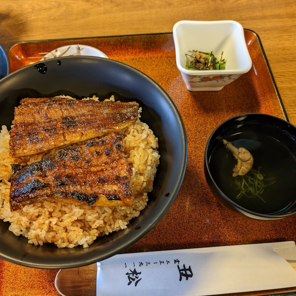 ユーザーが投稿した特上丼(まぶし)の写真 - 実際訪問したユーザーが直接撮影して投稿した繁松新田うなぎうなぎ料理 丑松の写真