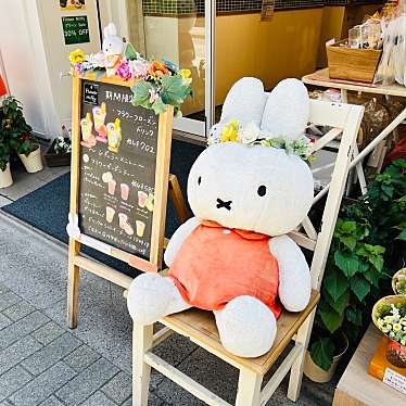 meghinaさんが投稿した雷門キャラクターショップのお店Flower Miffy 浅草店/フラワー ミッフィー アサクサテンの写真