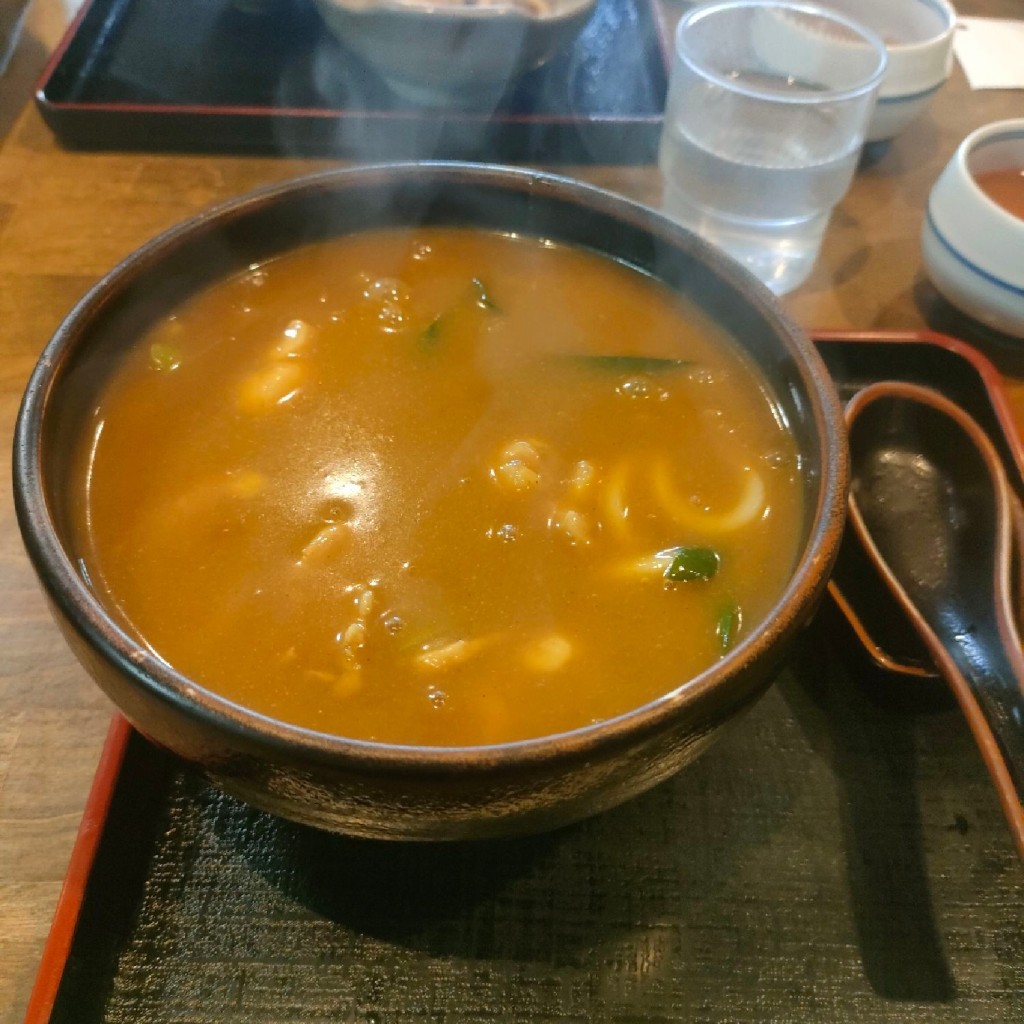 ユーザーが投稿した鶏肉カレーうどんの写真 - 実際訪問したユーザーが直接撮影して投稿した南禅寺北ノ坊町うどん日の出うどんの写真