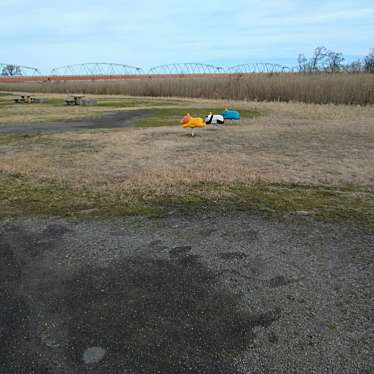 実際訪問したユーザーが直接撮影して投稿した津島屋公園阿賀野川津島屋緑地の写真