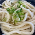 かけうどん - 実際訪問したユーザーが直接撮影して投稿した鹿角町うどん中西うどんの写真のメニュー情報