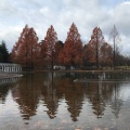 実際訪問したユーザーが直接撮影して投稿した七北田公園七北田公園の写真