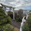 実際訪問したユーザーが直接撮影して投稿した三好町神社三好稲荷閣の写真