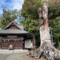 実際訪問したユーザーが直接撮影して投稿した相原神社相原八幡宮の写真
