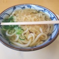 実際訪問したユーザーが直接撮影して投稿した芝田うどん麺乃庄 つるまる饂飩 阪急かっぱ横丁店の写真