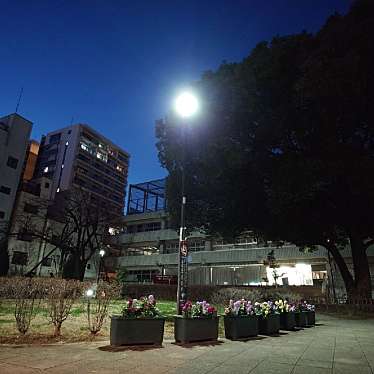 実際訪問したユーザーが直接撮影して投稿した外神田公園練成公園の写真