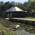 実際訪問したユーザーが直接撮影して投稿した弁天公園千葉公園の写真