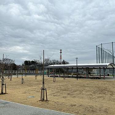 実際訪問したユーザーが直接撮影して投稿した大泉学園町公園大泉学園町希望が丘公園の写真