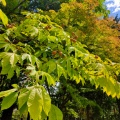 実際訪問したユーザーが直接撮影して投稿した本町公園勾当台公園の写真