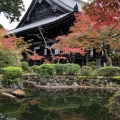 実際訪問したユーザーが直接撮影して投稿した浄土寺真如町寺真如堂の写真