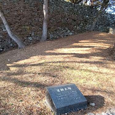 いねむりアヒルさんが投稿した篠山町歴史 / 遺跡のお店久留米城 蜜柑丸跡/クルメジョウ ミカンマルアトの写真