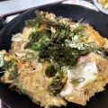 親子丼 - 実際訪問したユーザーが直接撮影して投稿した三宝町定食屋まつほの写真のメニュー情報