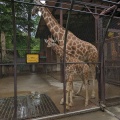 実際訪問したユーザーが直接撮影して投稿した山小川動物園サユリ・ワールドの写真