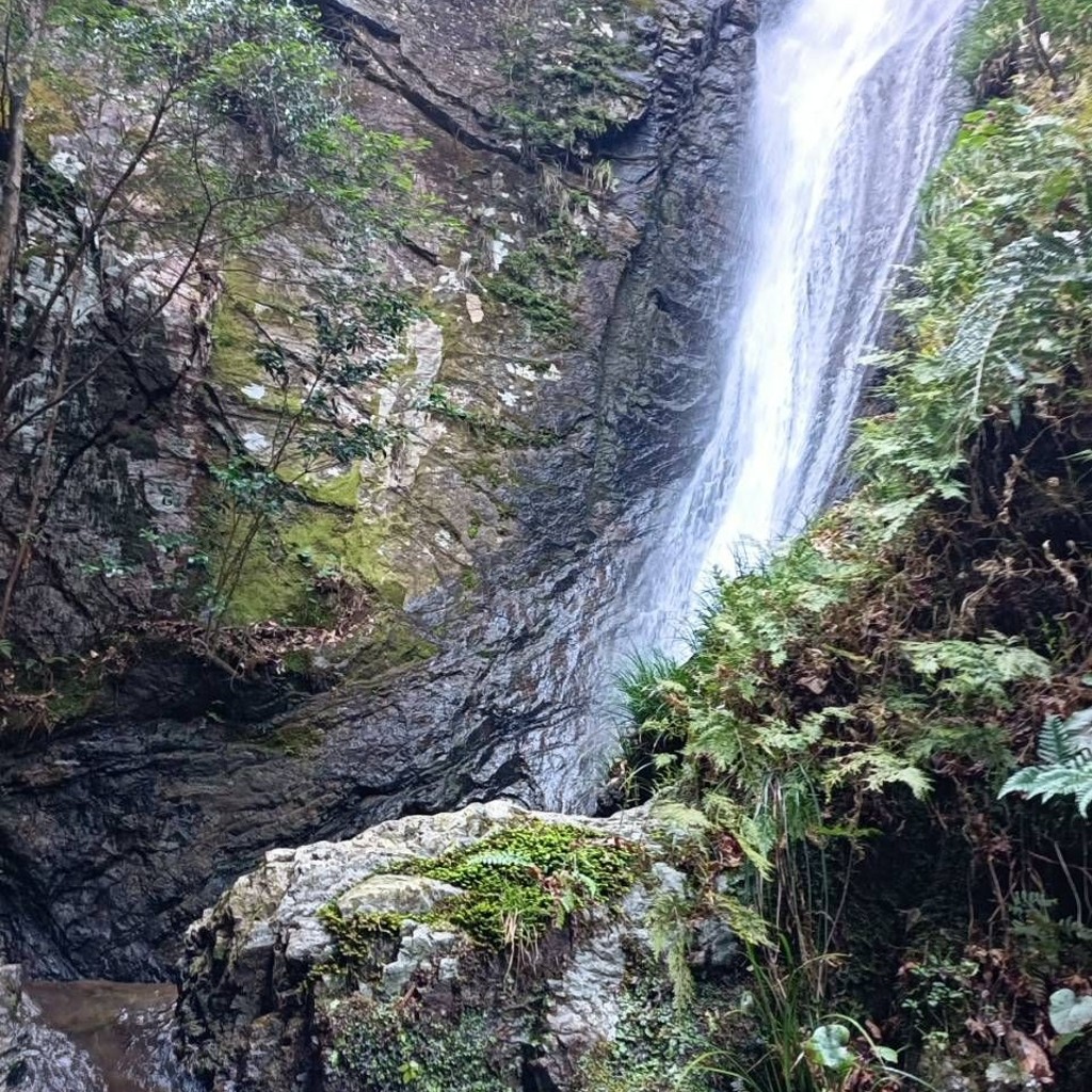 実際訪問したユーザーが直接撮影して投稿した滝 / 渓谷南天の滝の写真