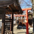 実際訪問したユーザーが直接撮影して投稿した今井町神社八幡神社の写真