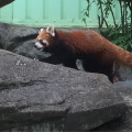 実際訪問したユーザーが直接撮影して投稿した北葛西動物園江戸川区自然動物園の写真