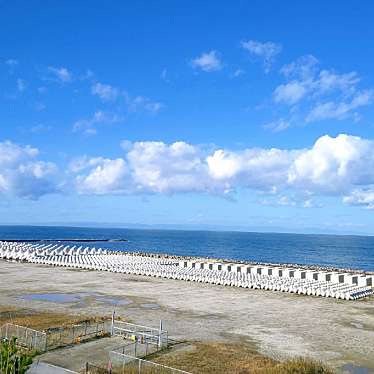 実際訪問したユーザーが直接撮影して投稿した西船見町公園西海岸公園の写真