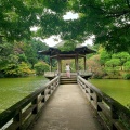 実際訪問したユーザーが直接撮影して投稿した成田公園成田山公園の写真